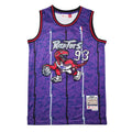 Toronto Raptors Bape Jersey